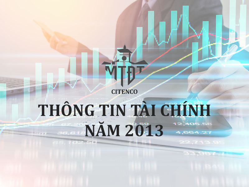 Thông tin tài chính năm 2013