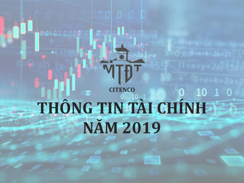 Thông tin tài chính năm 2019