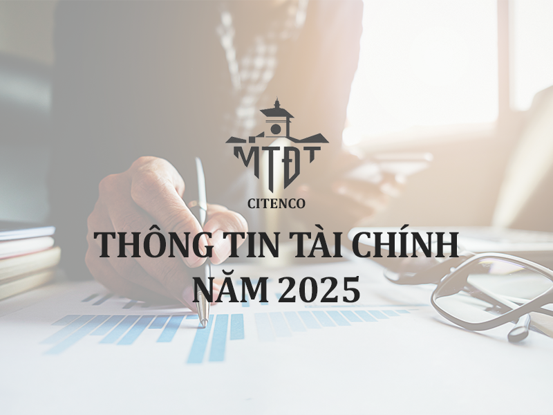 THÔNG TIN TÀI CHÍNH 2025